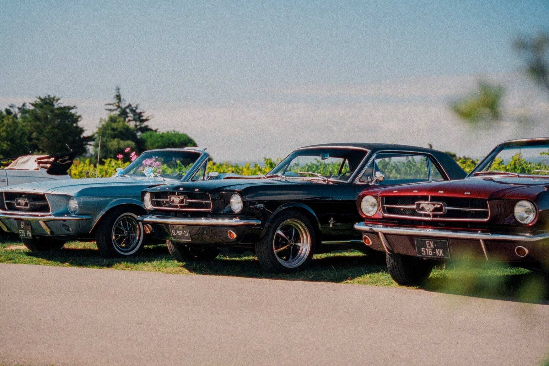 Chargement de la vidéo