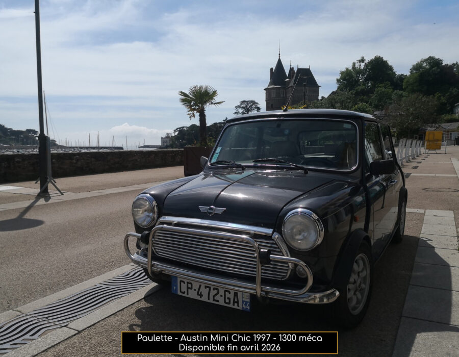 Paulette Austin Mini Chic 1997